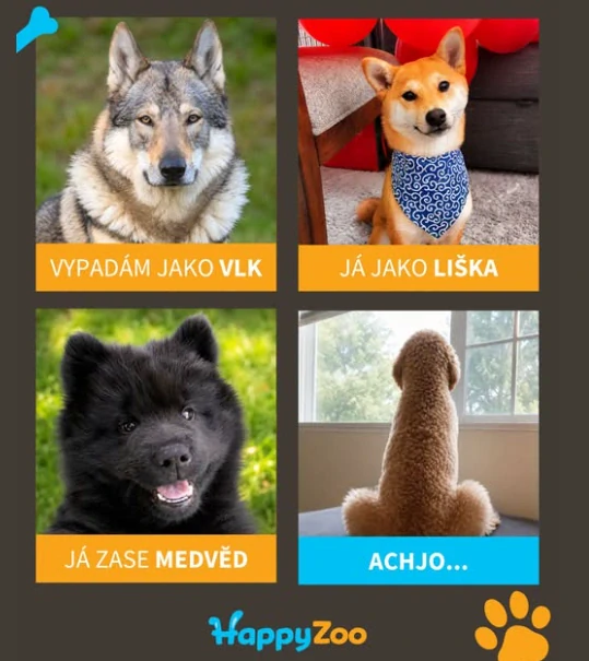 šesstá sada pro claudeho