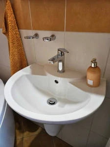 altik vedlejsiho charakteru